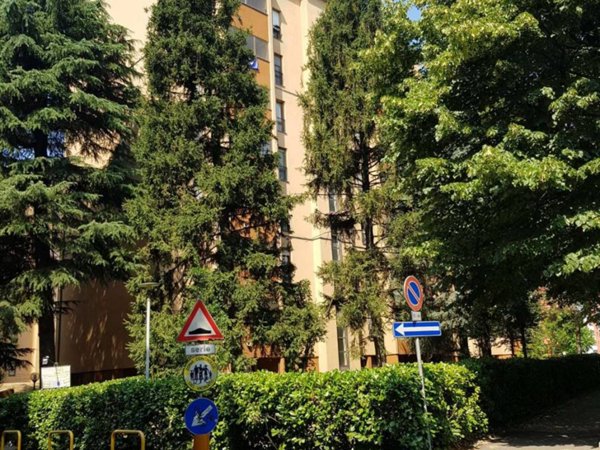 appartamento in vendita a San Giuliano Milanese in zona Carpianello