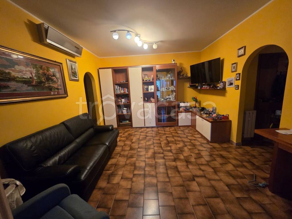 immagine annuncio 0 di 15