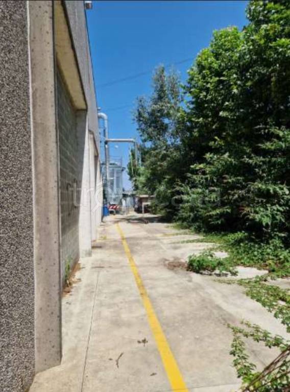 capannone in vendita a San Giuliano Milanese in zona Zivido