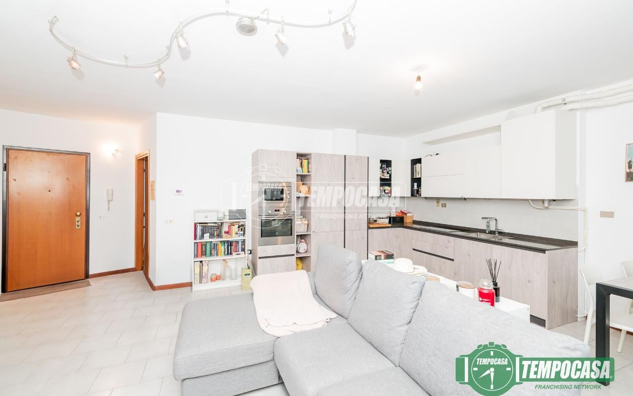 immagine annuncio 0 di 15