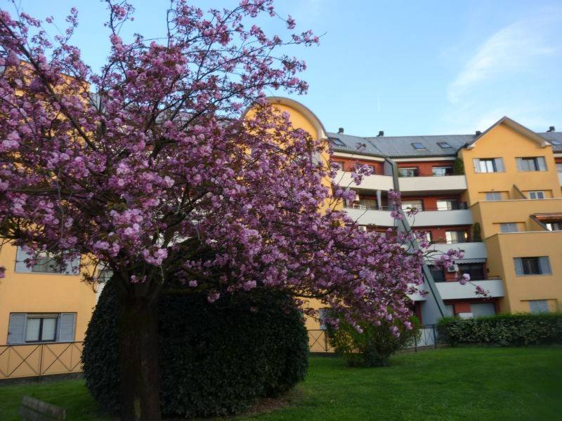 ufficio in vendita a San Giuliano Milanese in zona Zivido