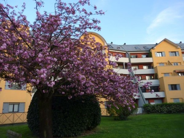 ufficio in vendita a San Giuliano Milanese