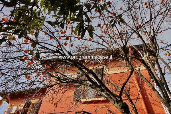 casa indipendente in vendita a Segrate in zona Lavanderie
