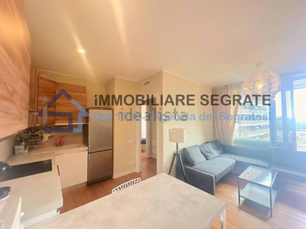 appartamento in vendita a Segrate