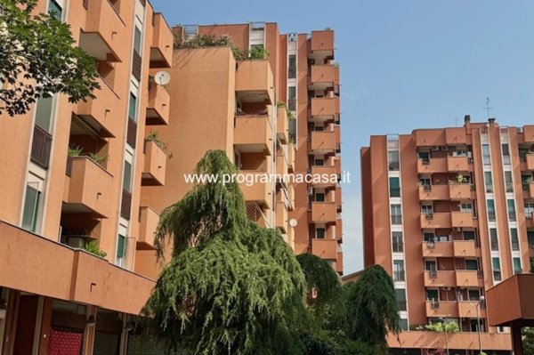 appartamento in vendita a Segrate