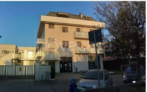 appartamento in vendita a Segrate