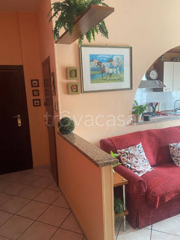 appartamento in vendita a Segrate