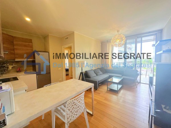appartamento in vendita a Segrate