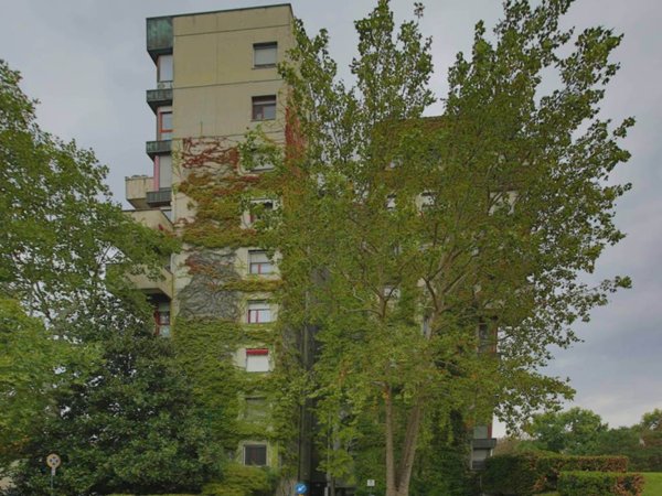 appartamento in vendita a Segrate in zona Novegro