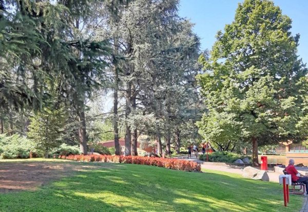 appartamento in vendita a Segrate