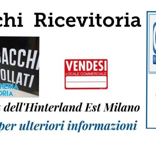 negozio in vendita a Segrate in zona Redecesio