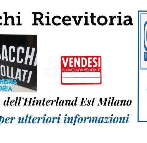 negozio in vendita a Segrate