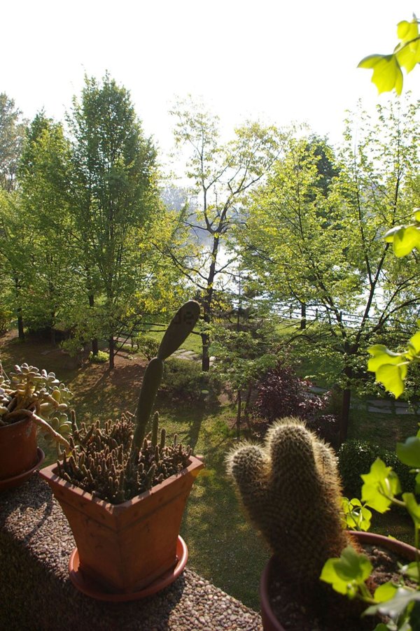 appartamento in vendita a Segrate