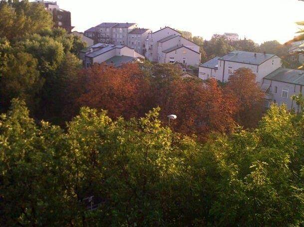 appartamento in vendita a Segrate in zona Novegro