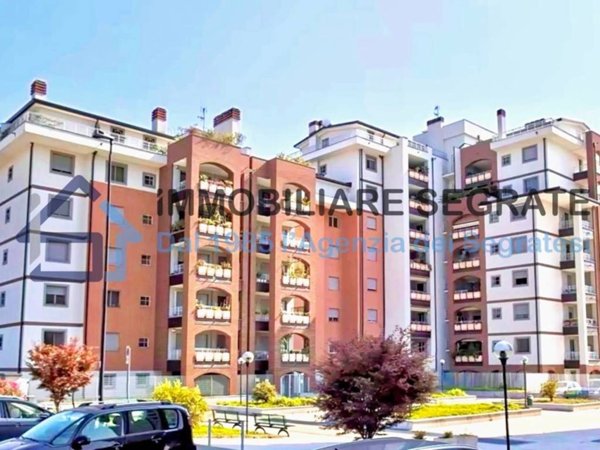 appartamento in vendita a Segrate