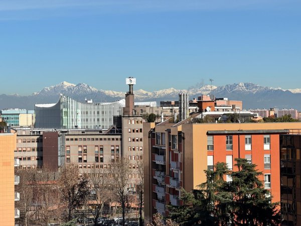 appartamento in vendita a Segrate in zona Milano 2