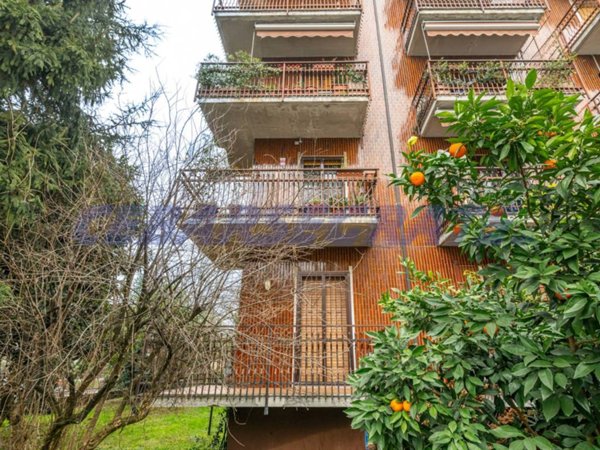 appartamento in vendita a Segrate