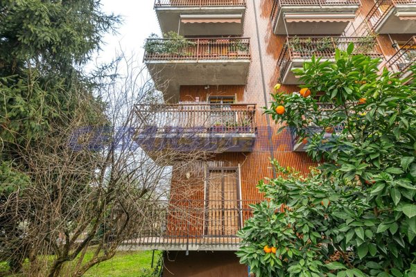 appartamento in vendita a Segrate