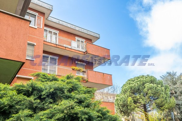 appartamento in vendita a Segrate