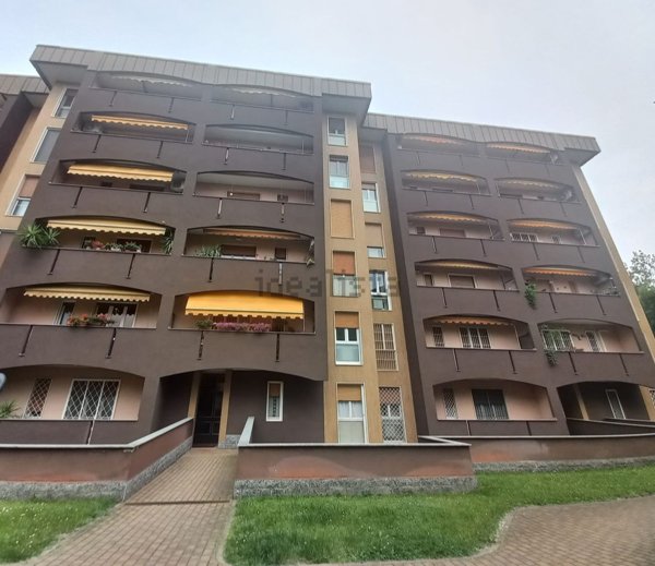 appartamento in vendita a Segrate
