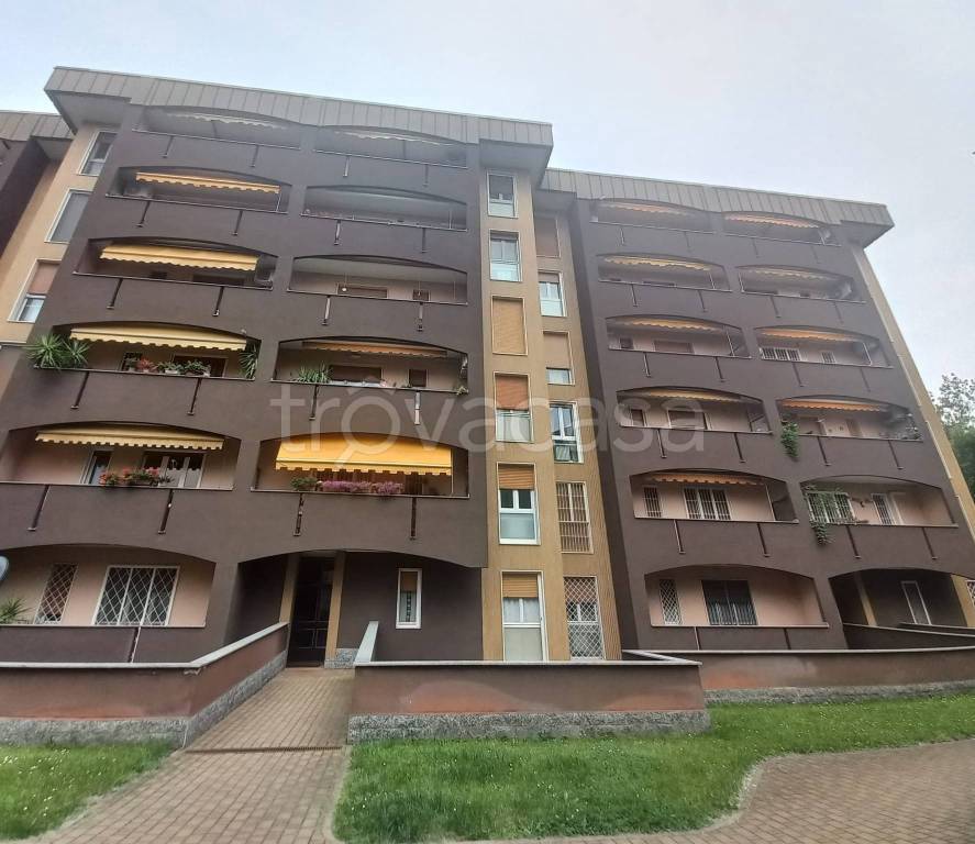 appartamento in vendita a Segrate