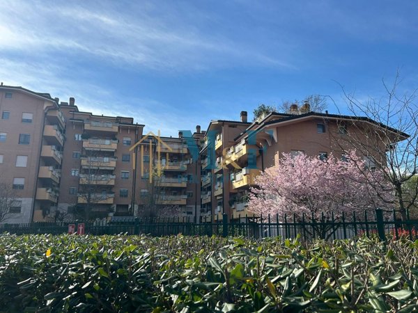 appartamento in vendita a Segrate