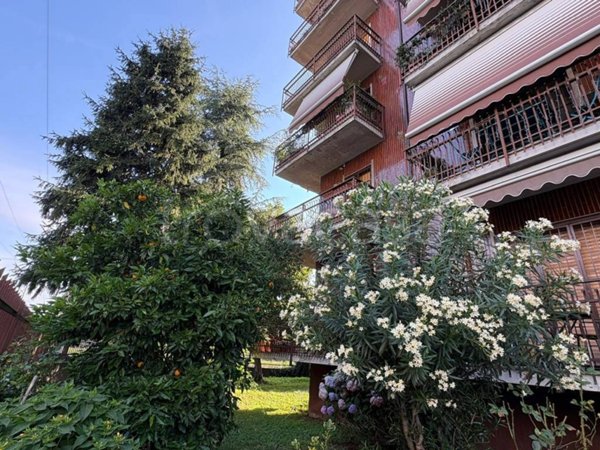 appartamento in vendita a Segrate in zona Rovagnasco