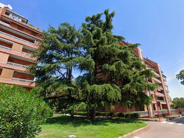 appartamento in vendita a Segrate in zona Milano 2