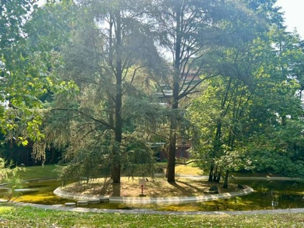 appartamento in vendita a Segrate in zona Milano 2