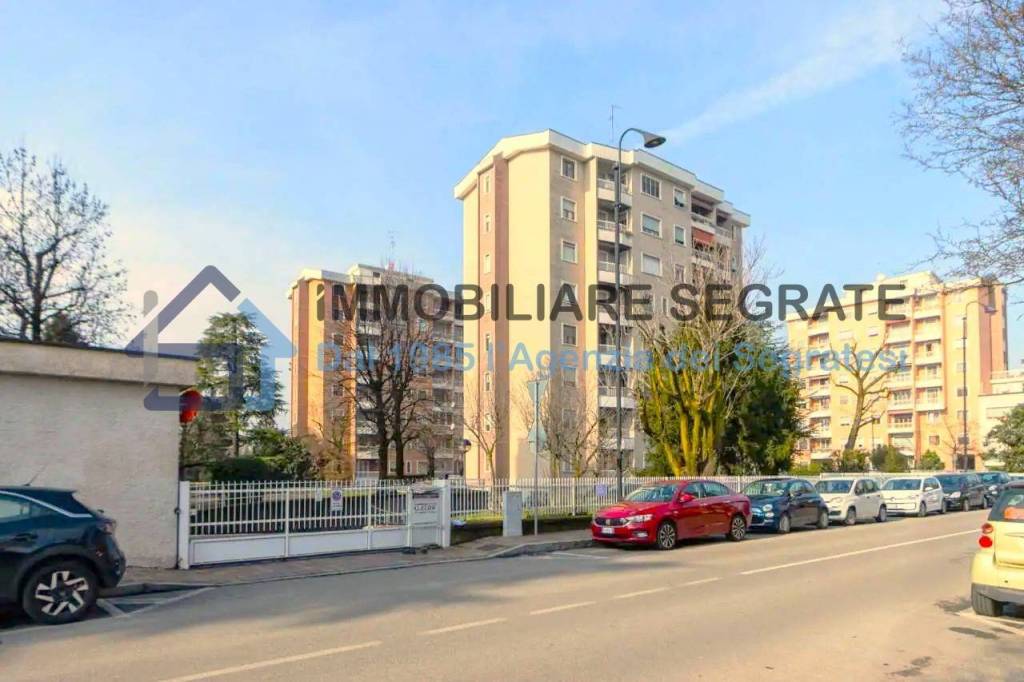 box auto in vendita a Segrate