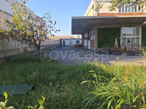 attivita commerciale in vendita a Segrate