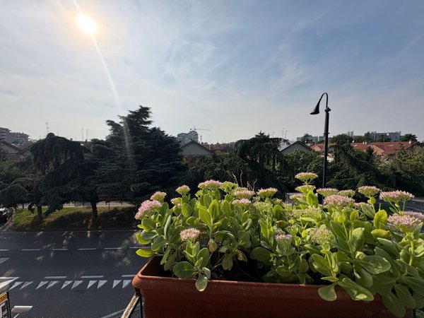 appartamento in vendita a Segrate in zona Rovagnasco