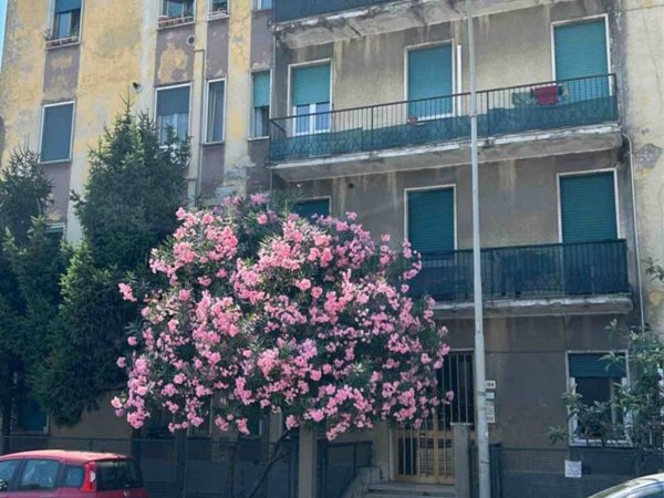 appartamento in vendita a Senago