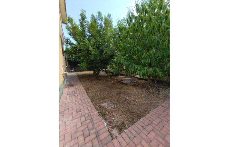 appartamento in vendita a Senago