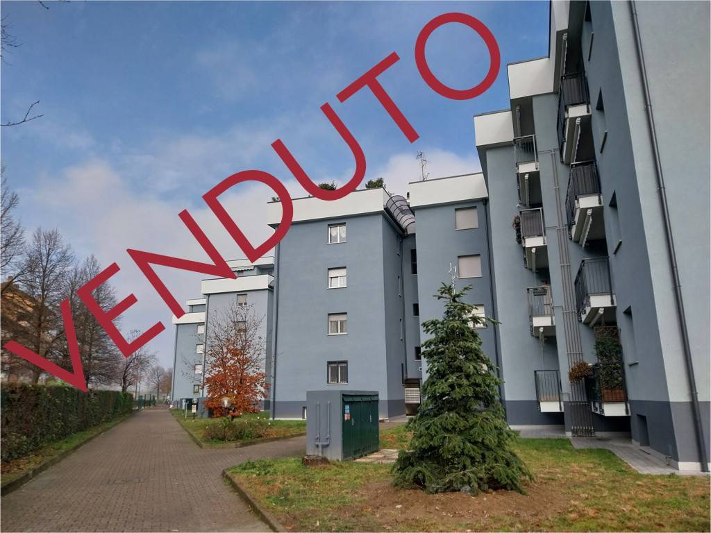appartamento in vendita a Settimo Milanese