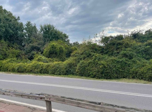 terreno agricolo in vendita a Settimo Milanese