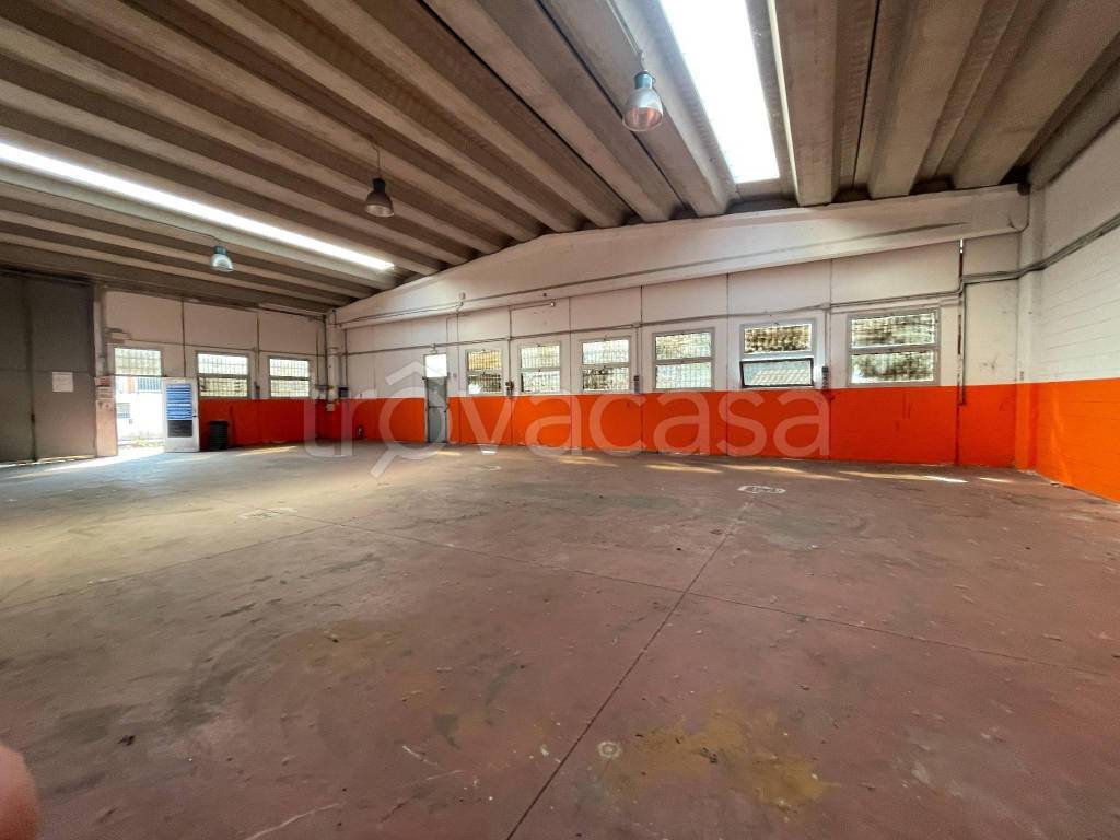 appartamento in vendita a Settimo Milanese