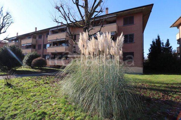 appartamento in vendita a Solaro