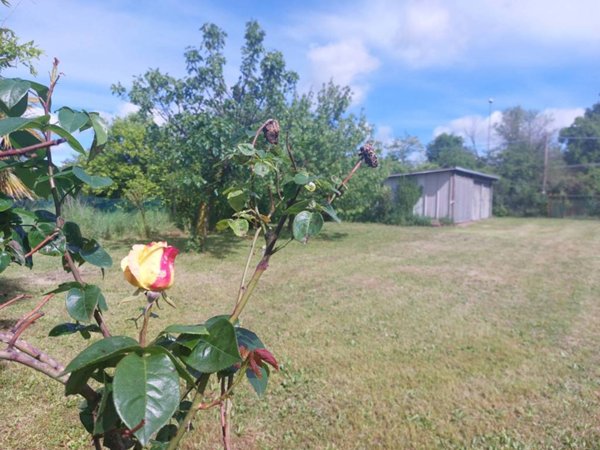 terreno agricolo in vendita a Solaro