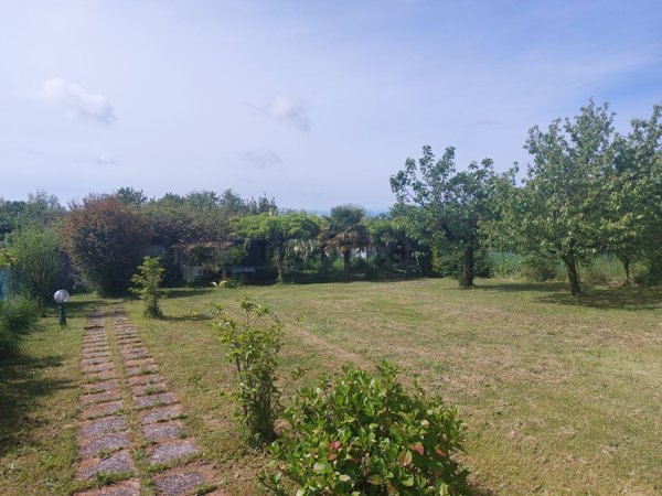 terreno agricolo in vendita a Solaro