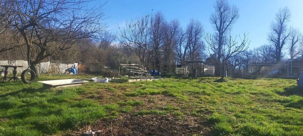 terreno agricolo in vendita a Solaro