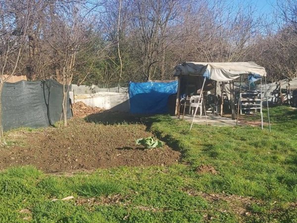 terreno agricolo in vendita a Solaro