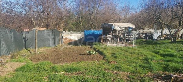terreno agricolo in vendita a Solaro