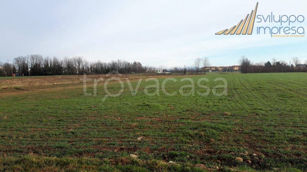 terreno agricolo in vendita a Trezzano Rosa