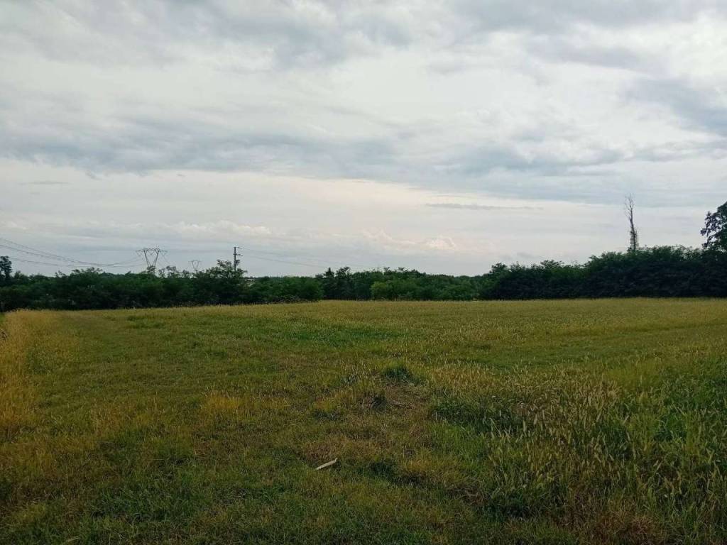 terreno agricolo in vendita a Trezzano Rosa
