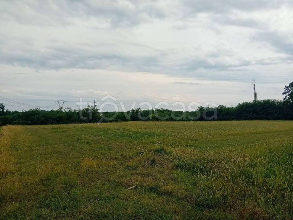 terreno agricolo in vendita a Trezzano Rosa