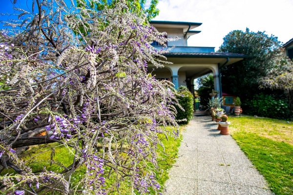 casa indipendente in vendita a Trezzano Rosa
