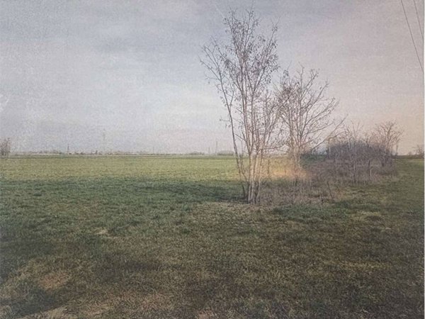 casa indipendente in vendita a Trezzano Rosa