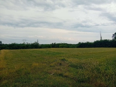 terreno agricolo in vendita a Trezzano Rosa
