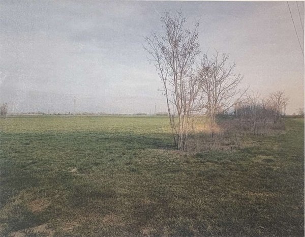 appartamento in vendita a Trezzano Rosa